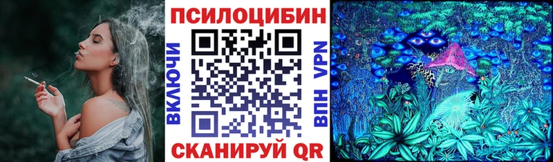 дарнет шоп  Мосальск  Галлюциногенные грибы Magic Shrooms 